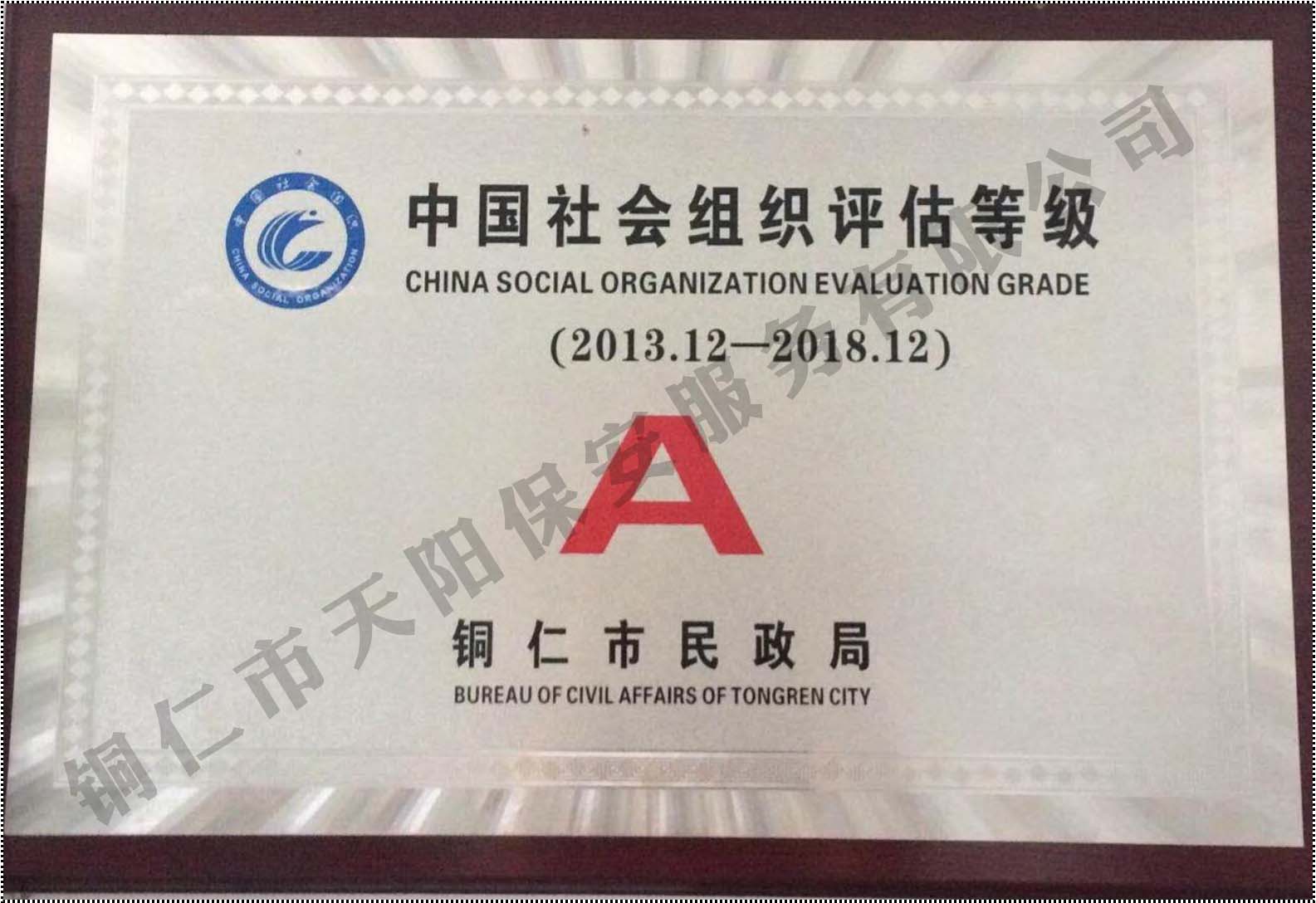 中國社會(huì )組織評估等級
